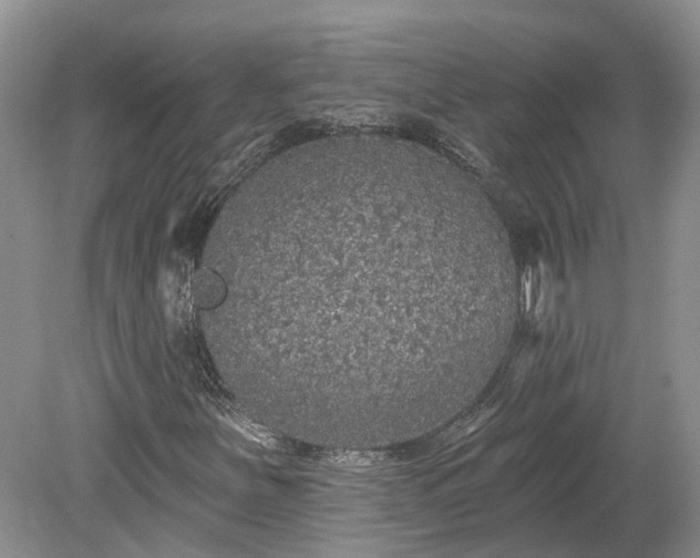 X0000078871251200611201330