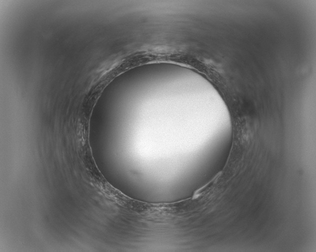 X0000078871253200611201330