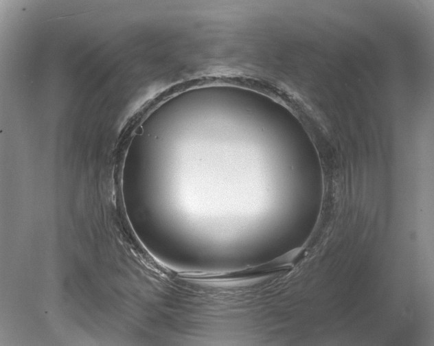 X0000078871262200611201330