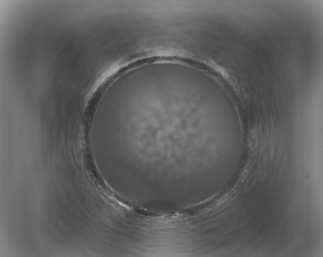 X0000078871263200611201330