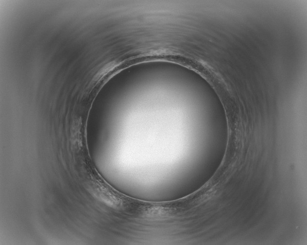 X0000078871265200611201330