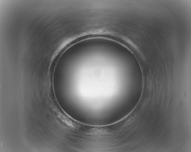 X0000078871270200611201330