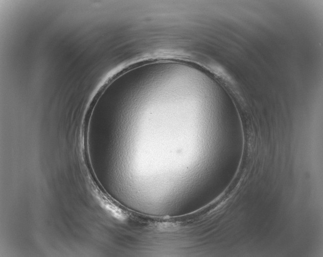 X0000078871280200611201330