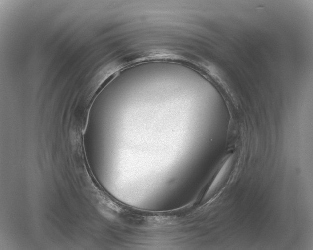 X0000078871281200611201330