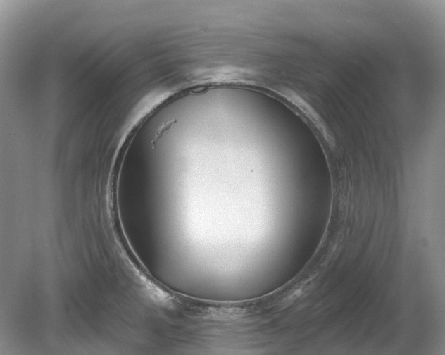 X0000078871285200611201330