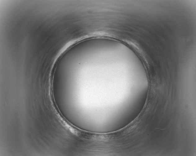 X0000078871286200611201330