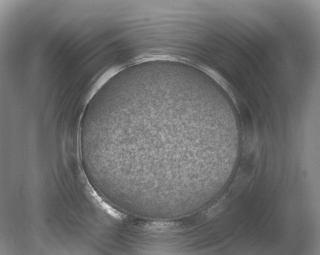 X0000078871290200611201330