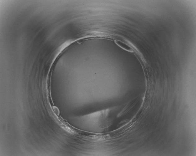 X0000078871291200611201330