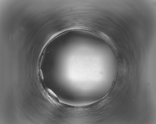 X0000078871292200611201330
