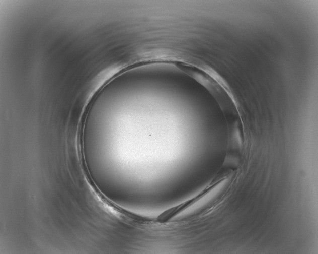 X0000078871293200611201330