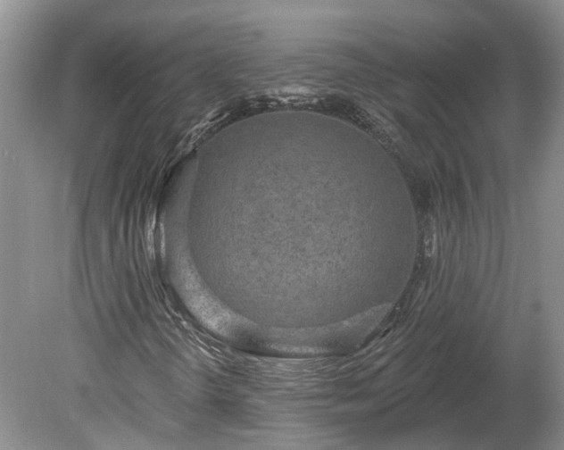 X0000078871298200611201329