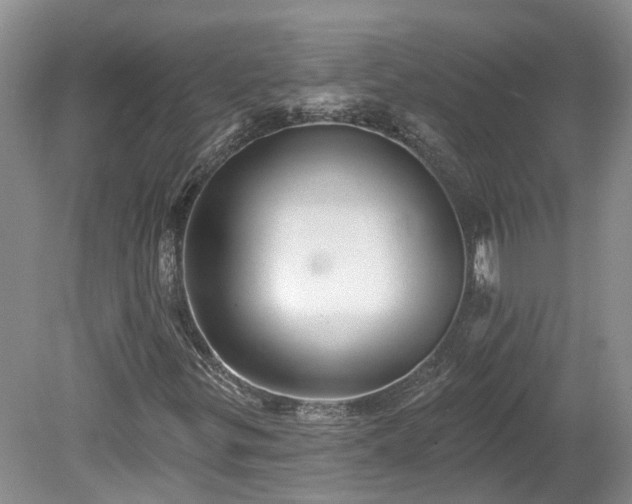 X0000078871299200611201329