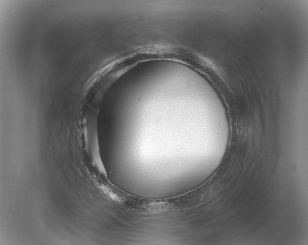 X0000078871304200611201329