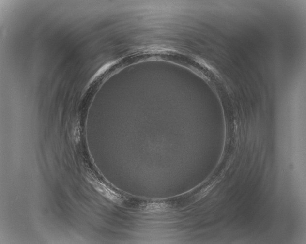 X0000078871306200611201329