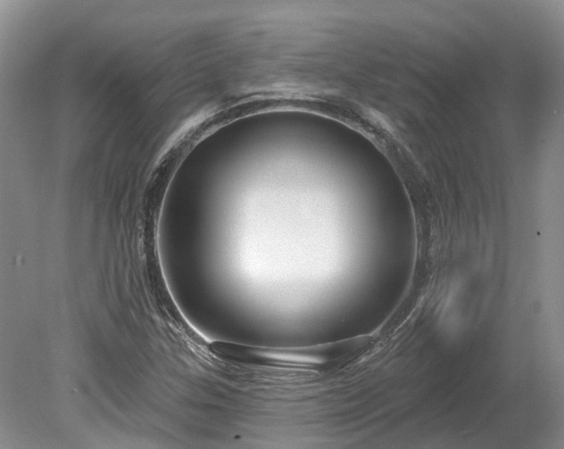 X0000078871307200611201329