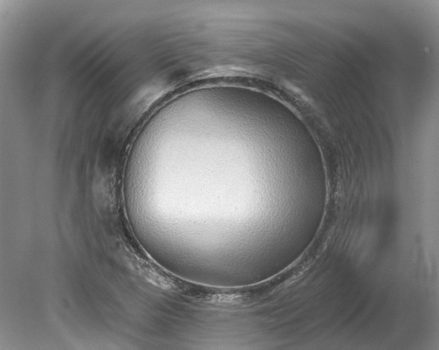 X0000078871313200611201329