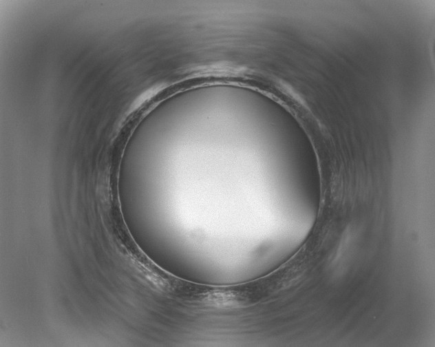 X0000078871315200611201329
