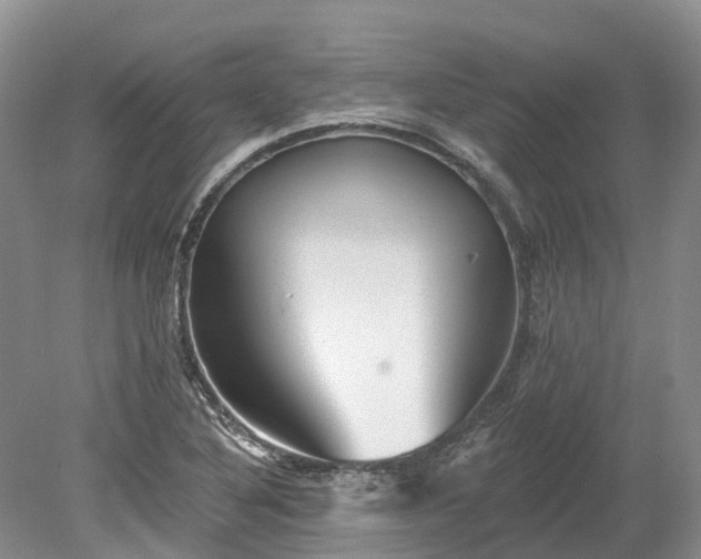 X0000078871316200611201329