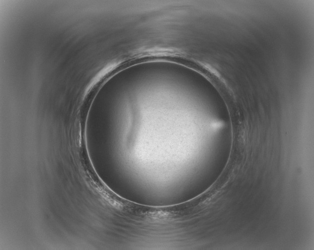 X0000078871317200611201329