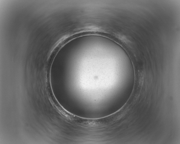 X0000078871318200611201329
