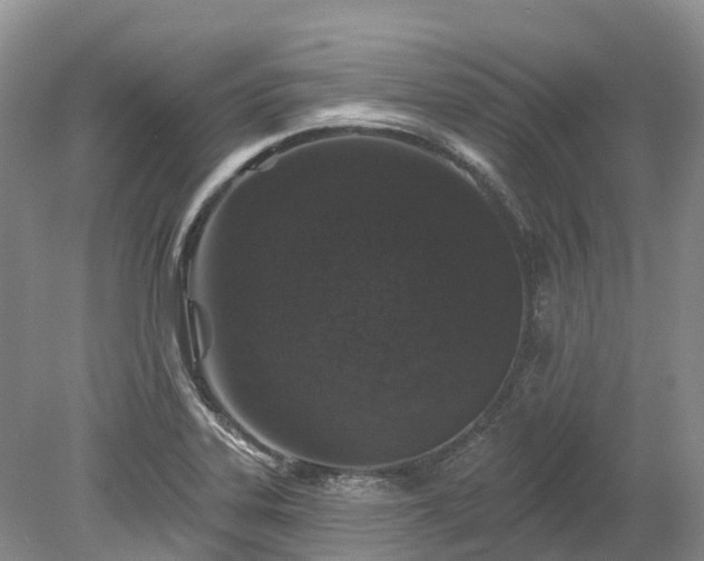 X0000078871323200611201329