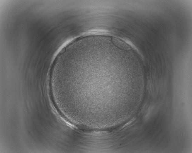 X0000078871325200611201329