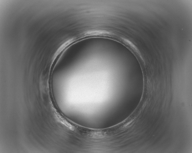 X0000078871330200611201329