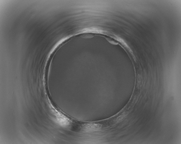 X0000078871331200611201329