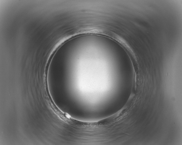 X0000078871332200611201329