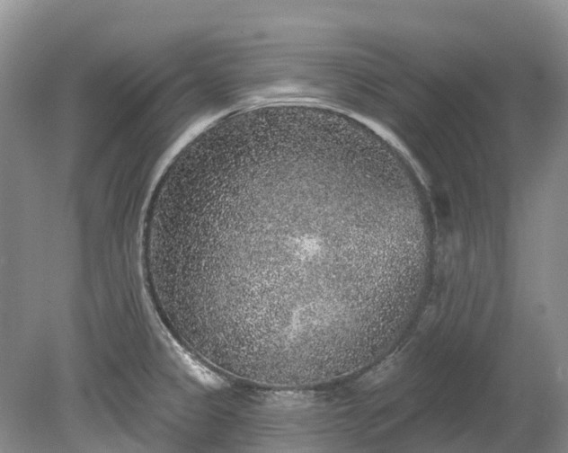 X0000078871333200611201329