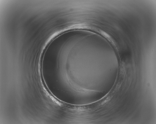 X0000078871334200611201329