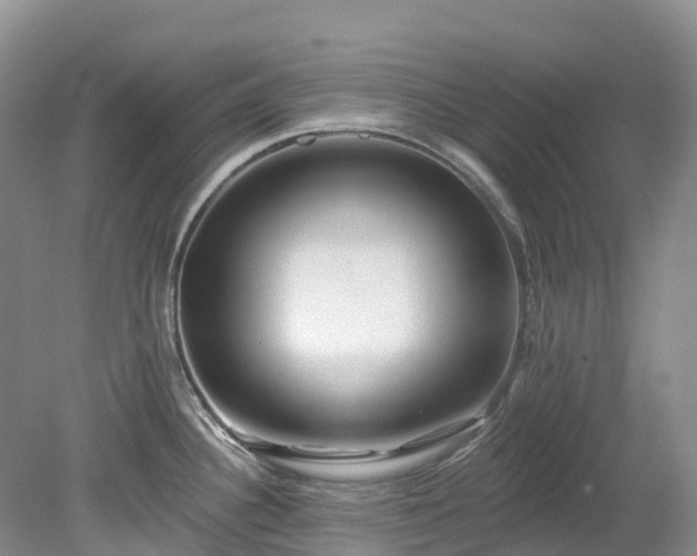 X0000078871340200611201329