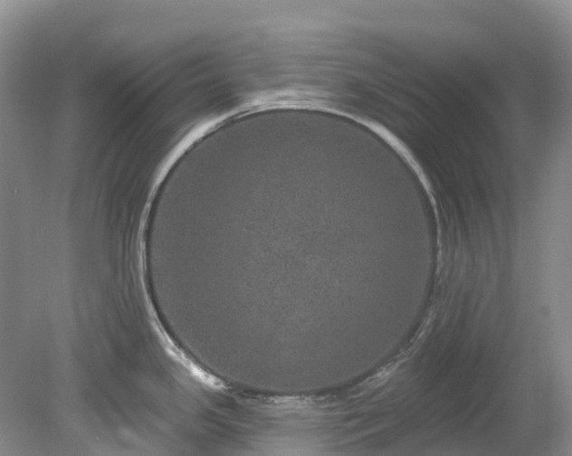 X0000078871341200611201329