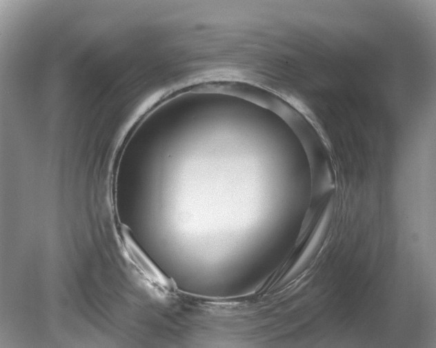 X0000078871342200611201329