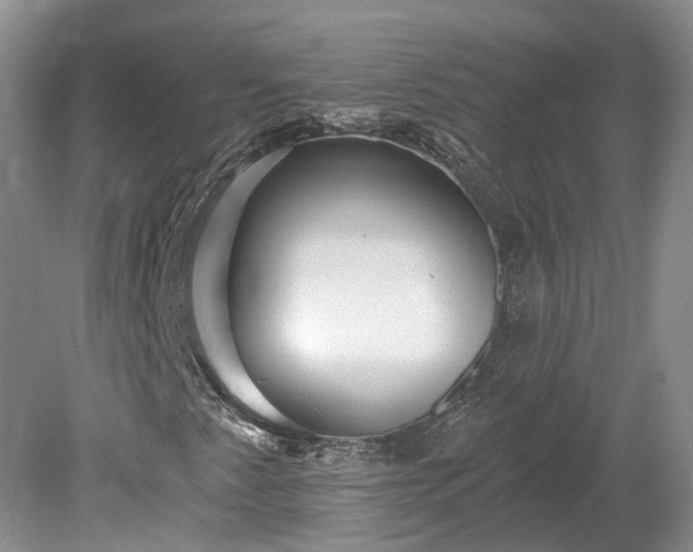 X0000078871345200611201329