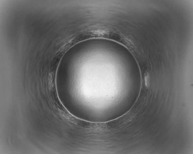 X0000078871347200611201329