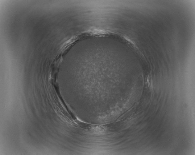 X0000078871348200611201329