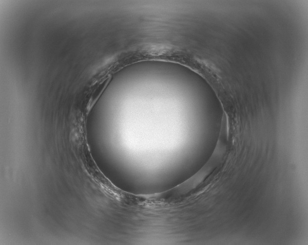 X0000078871349200611201329