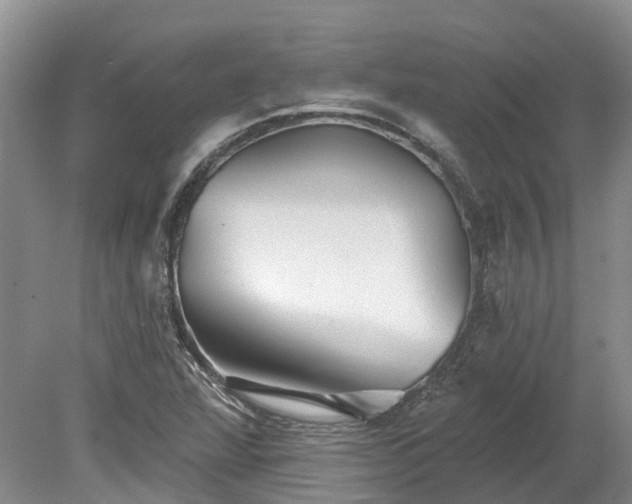 X0000078871360200611201328
