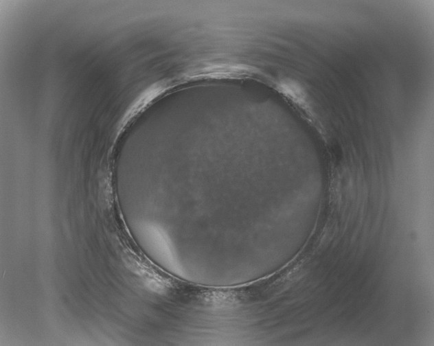 X0000078871362200611201328