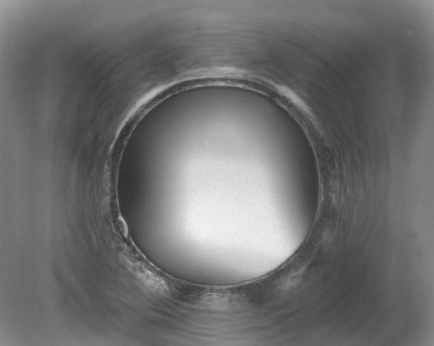 X0000078871364200611201328