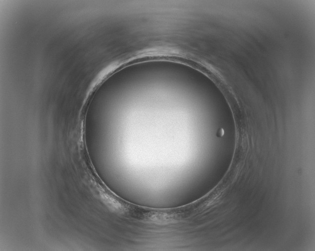 X0000078871366200611201328