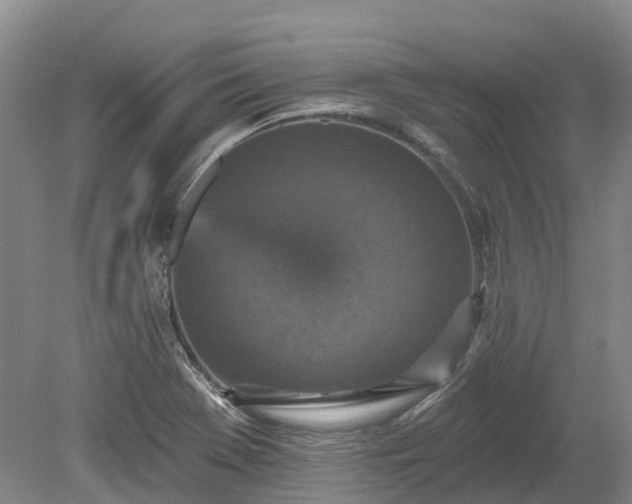 X0000078871369200611201328
