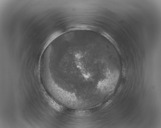 X0000078871378200611201328