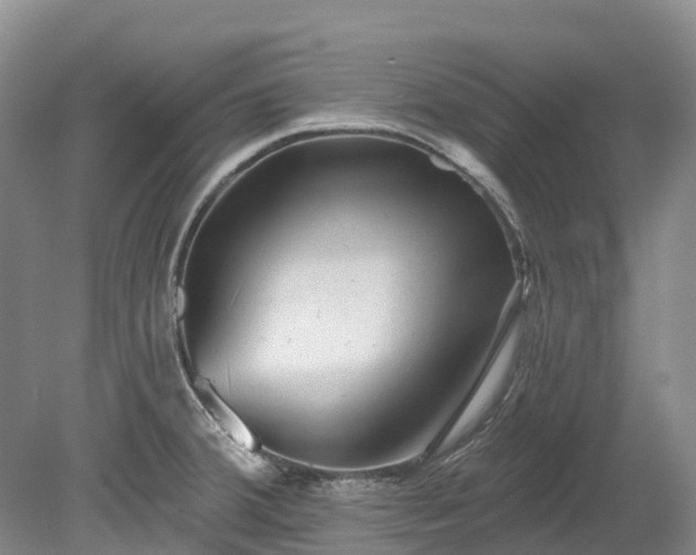 X0000078871380200611201328