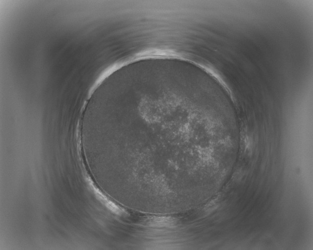 X0000078871382200611201328