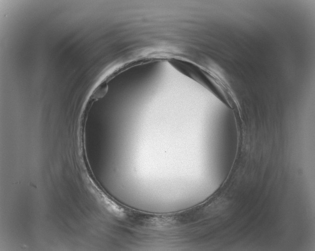 X0000078871384200611201328
