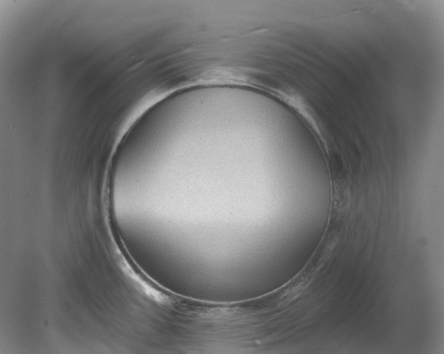 X0000078871387200611201328