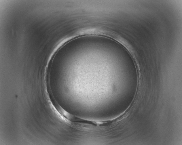 X0000078871392200611201328