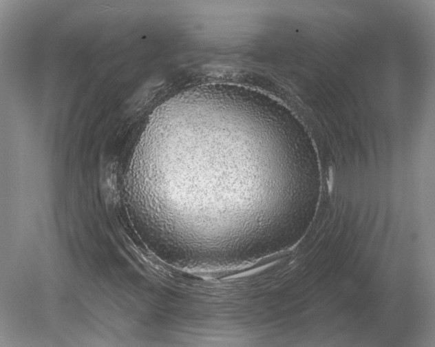 X0000078871396200611201327